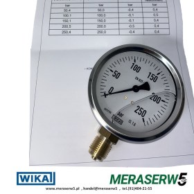 M100R/G 0-250BAR WIKA PCA str2
